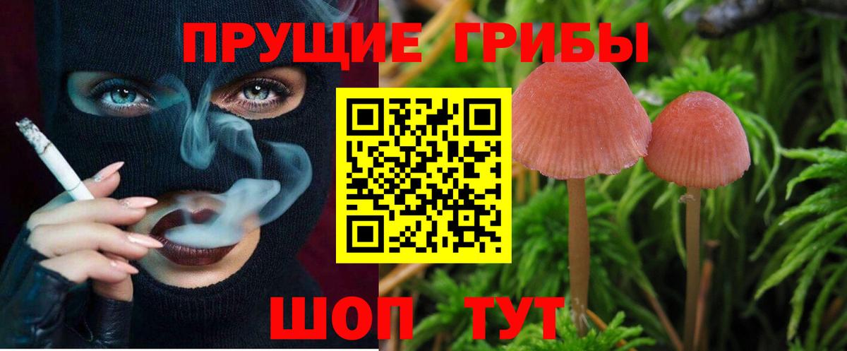 Псилоцибиновые грибы Psilocybine cubensis Туапсе
